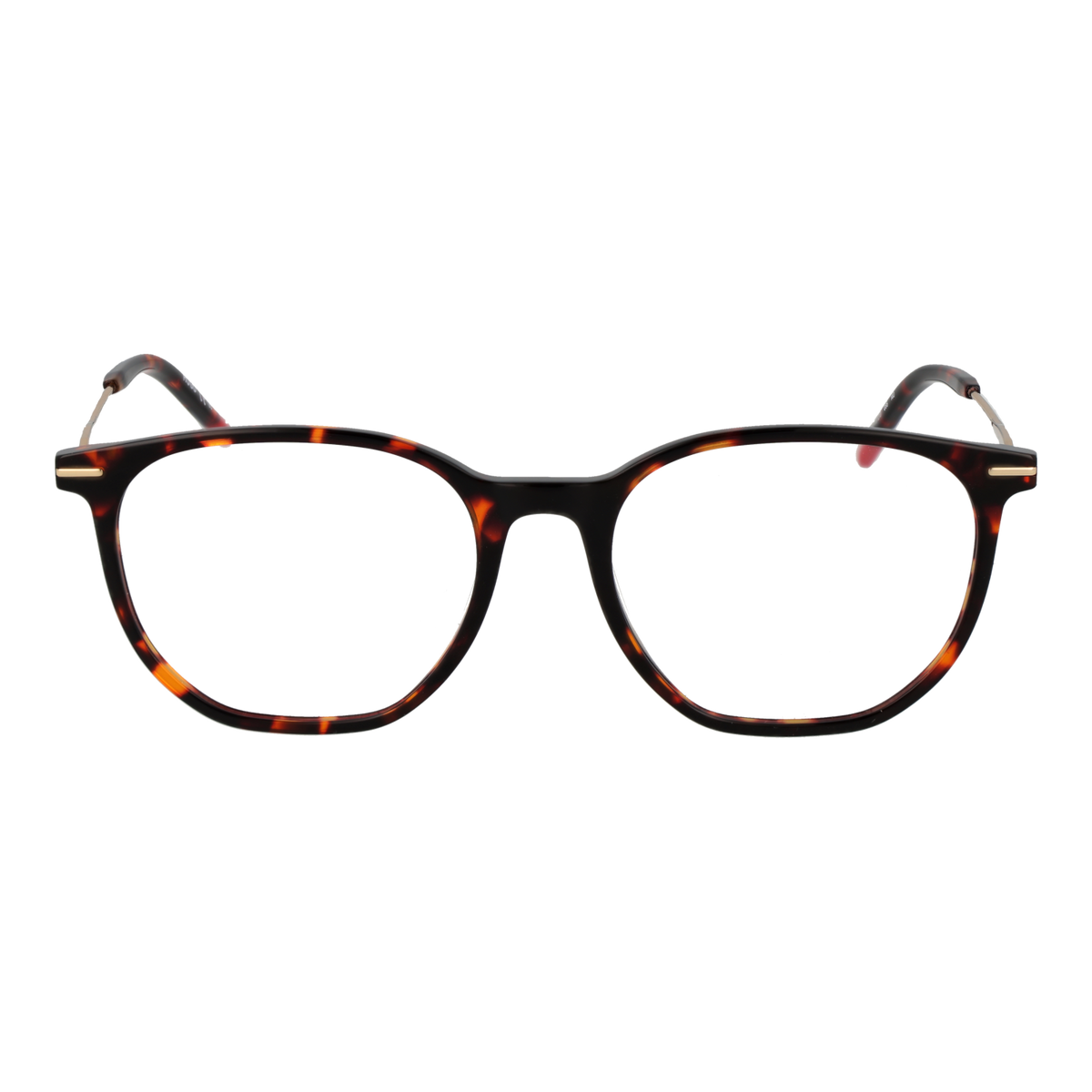 Brown/Demo glasses