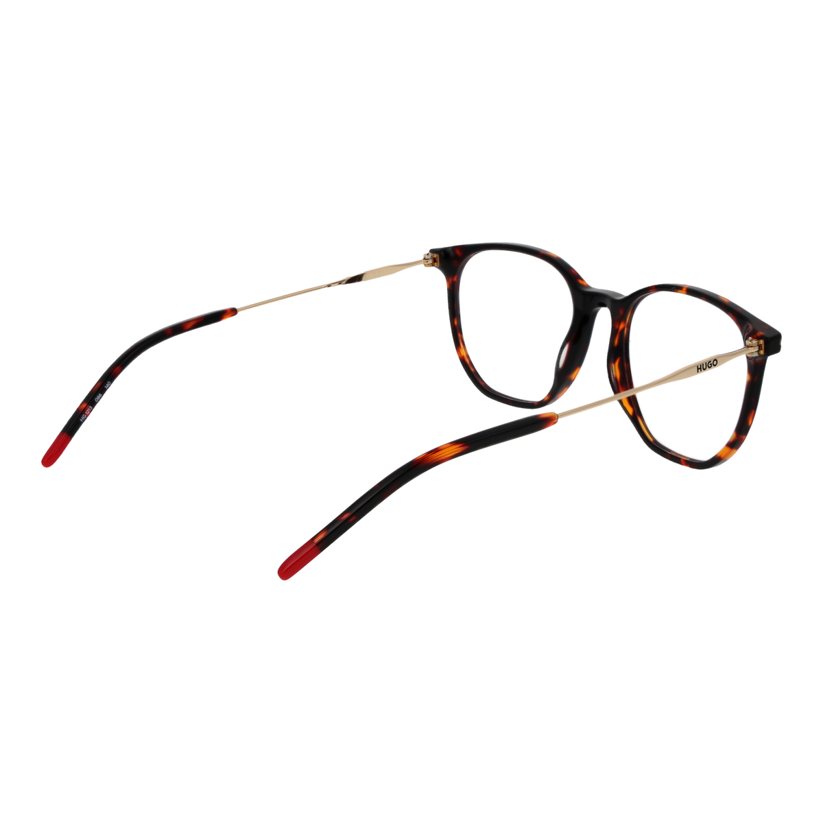 Brown/Demo glasses