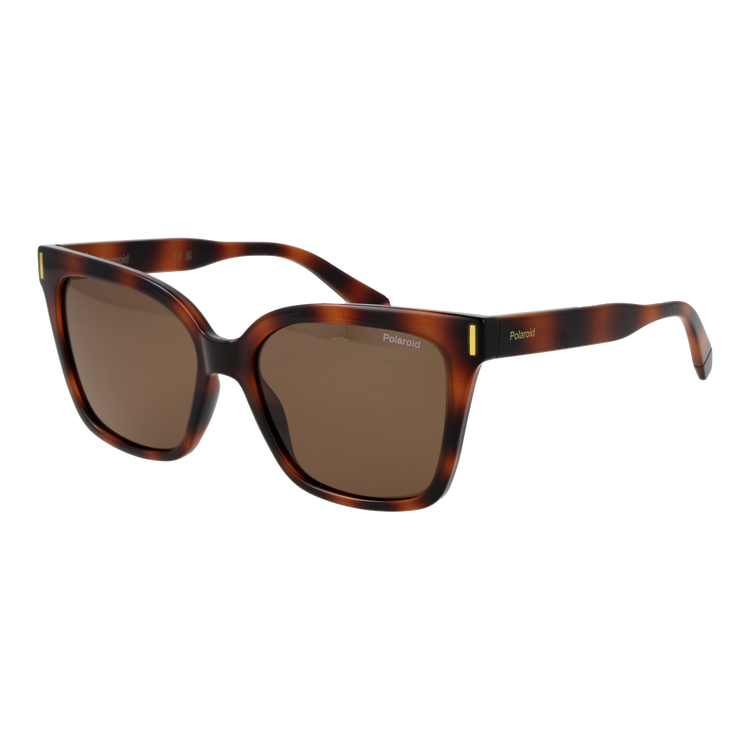 Brown/Bronze