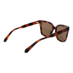 Brown/Bronze