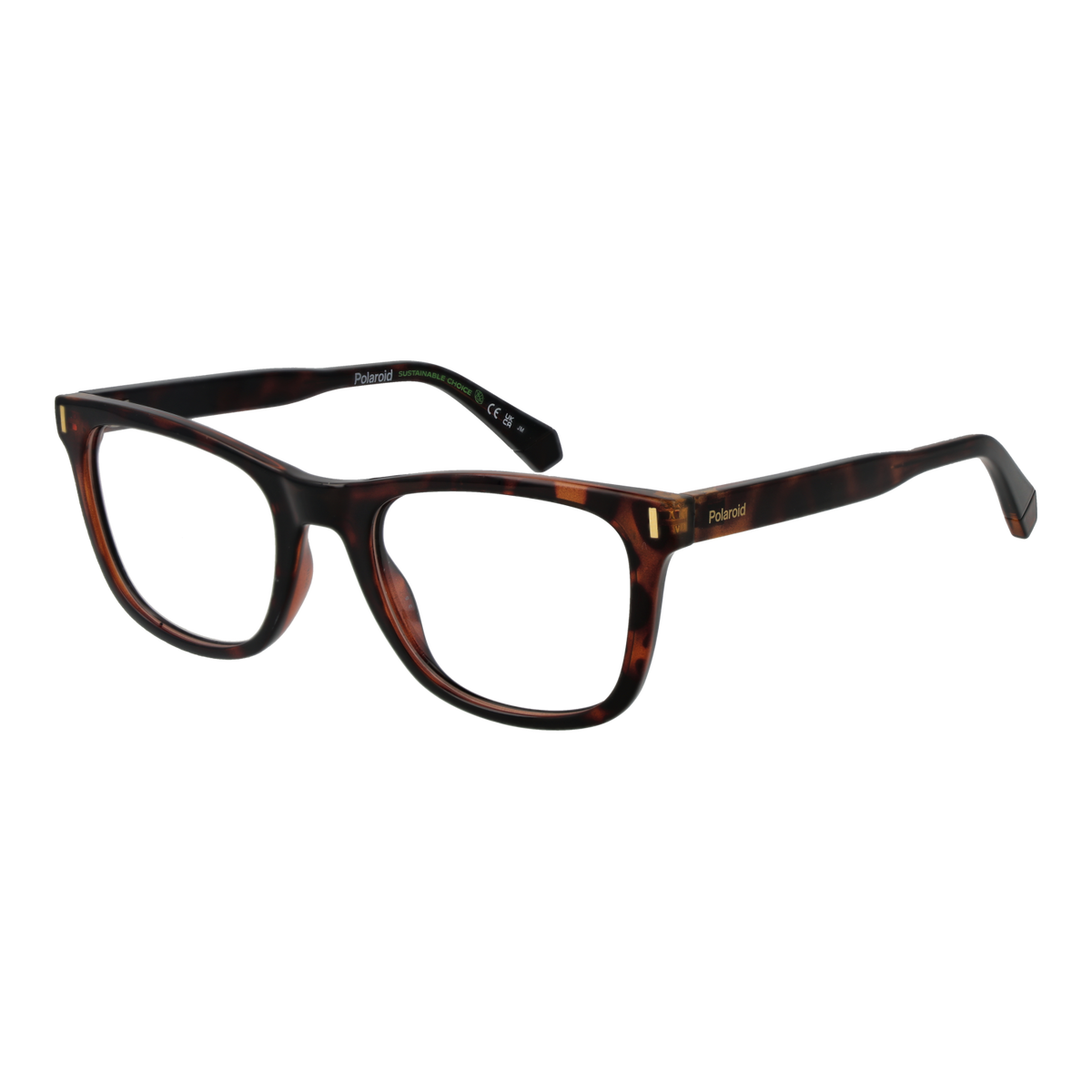Brown/Demo glasses