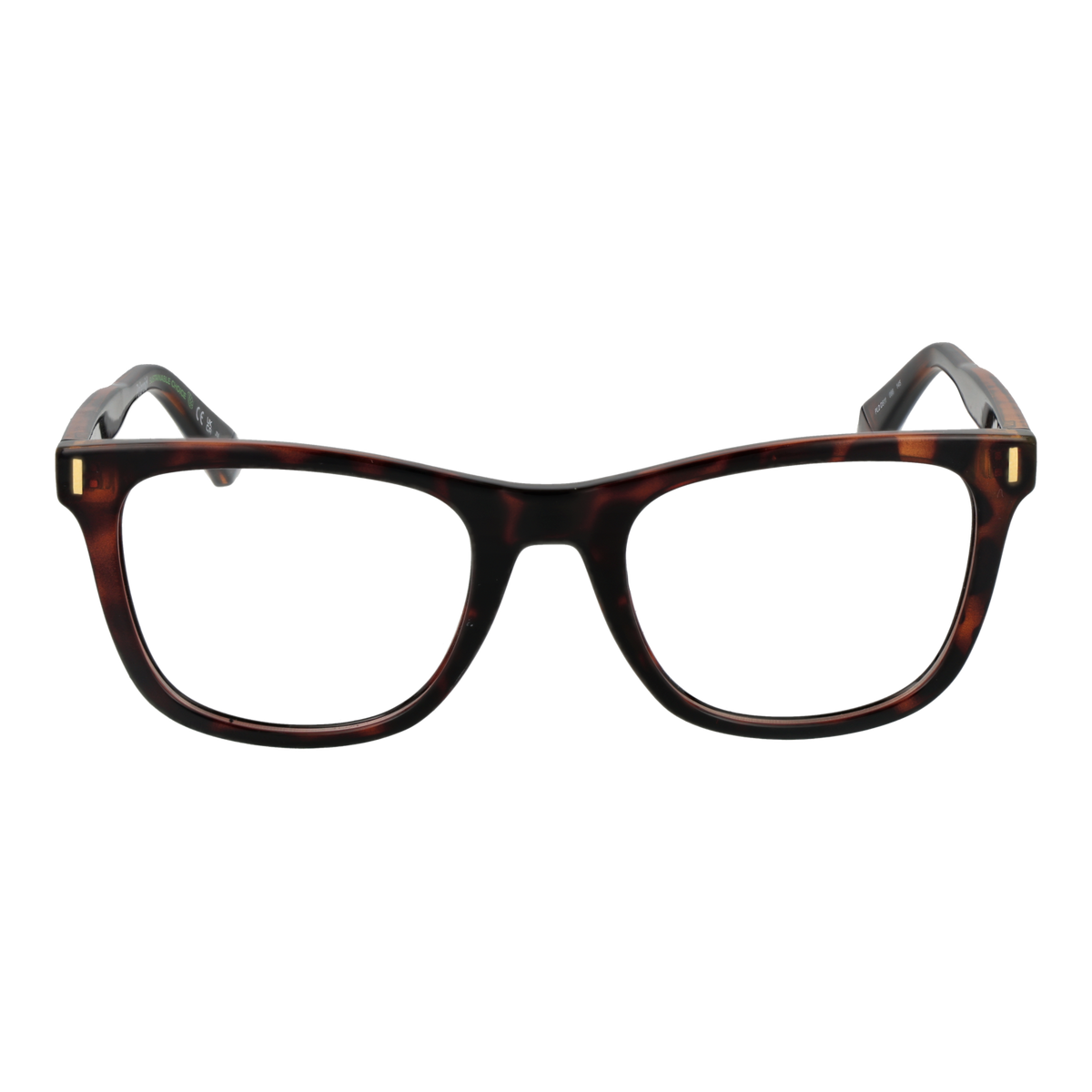 Brown/Demo glasses