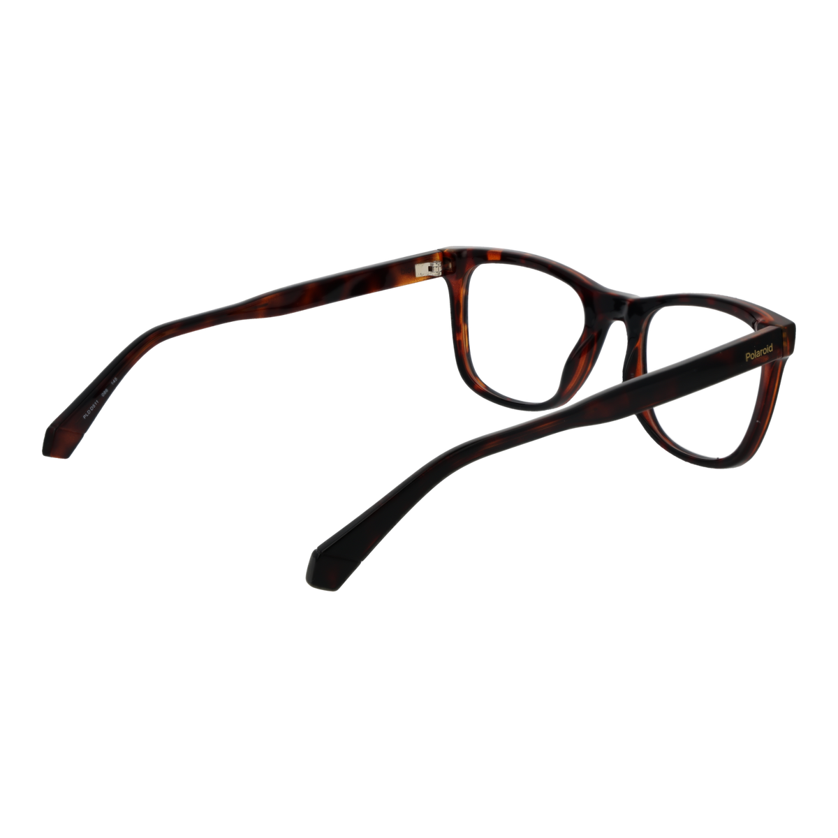 Brown/Demo glasses