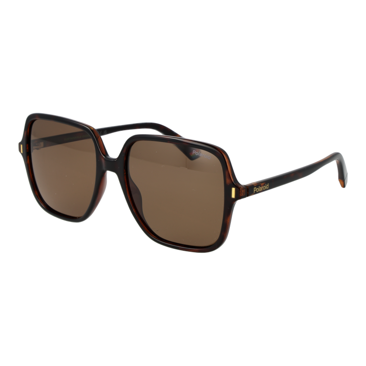 Brown/Bronze
