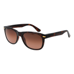 Brown / 20246315 / Clear