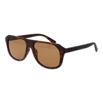 Brown / Clear