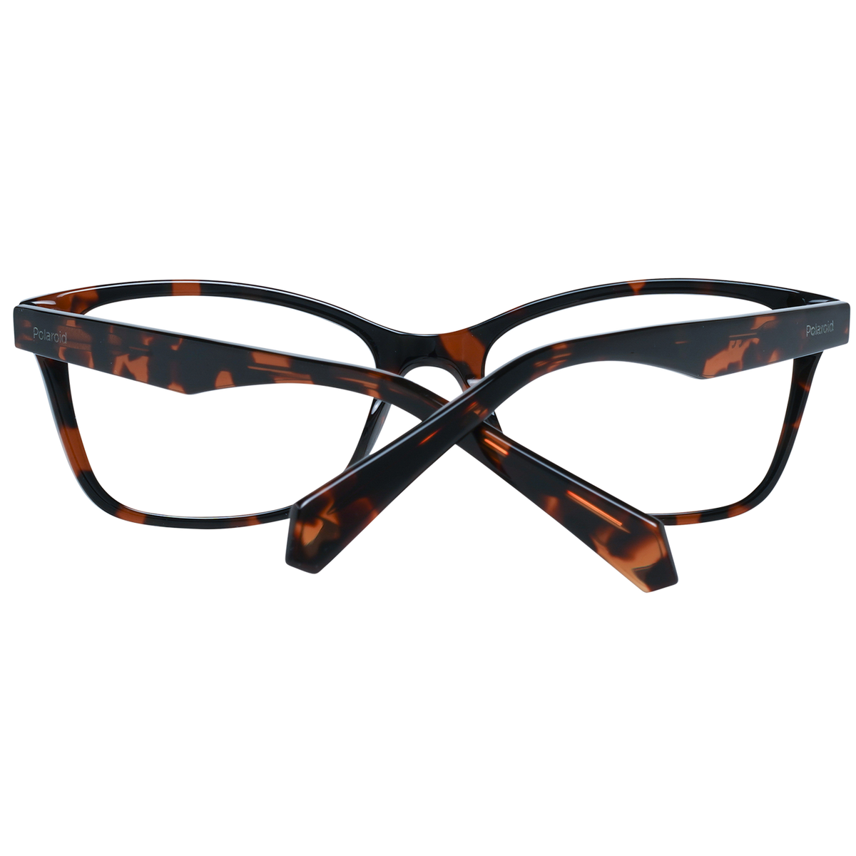 Brown/Transparent