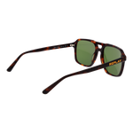 Brown/Green