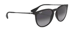 Ray-Ban RB4171 622/8G Round Sunglasses