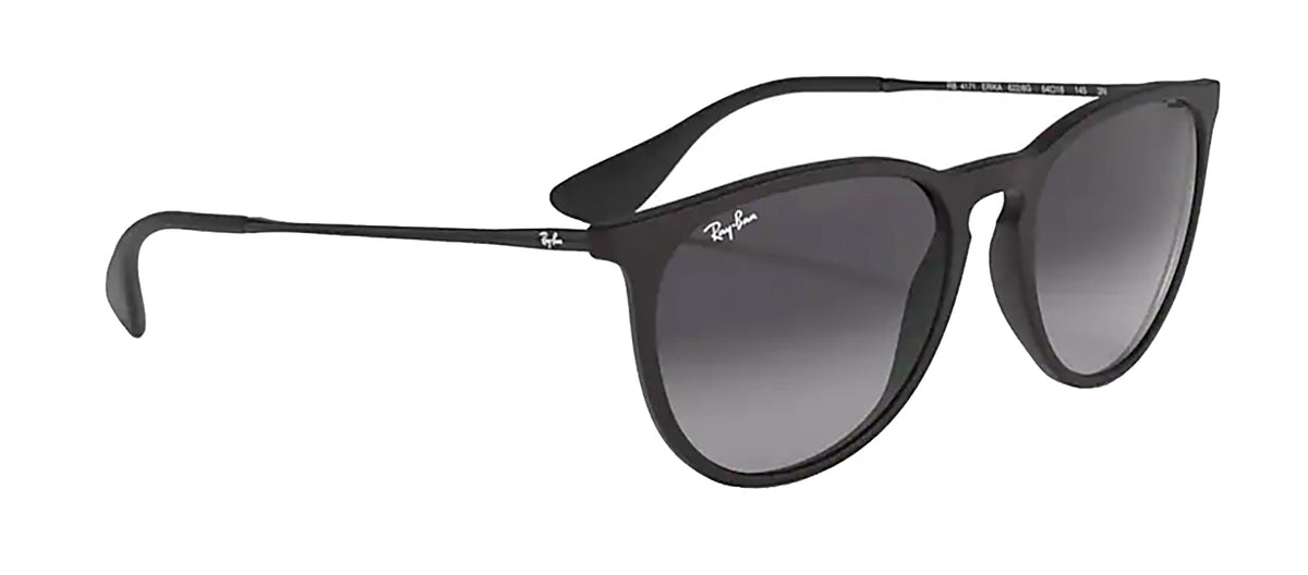 Ray-Ban RB4171 622/8G Round Sunglasses