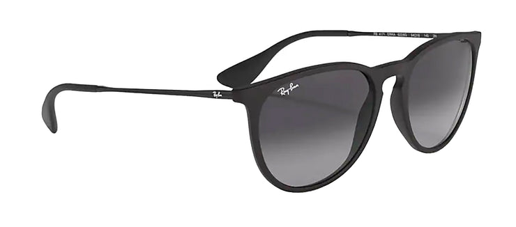 Ray-Ban RB 4171 622/8G Round Sunglasses