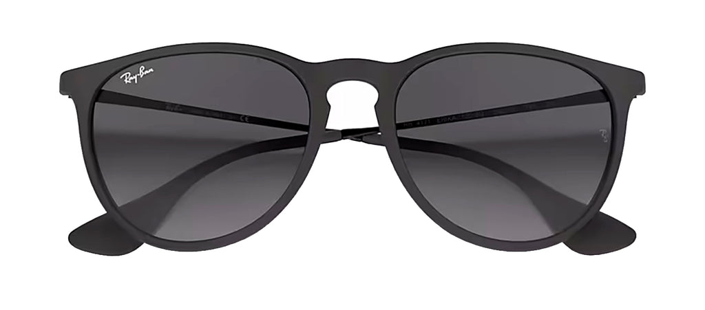 Ray-Ban RB4171 622/8G Round Sunglasses