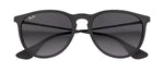 Ray-Ban RB4171 622/8G Round Sunglasses
