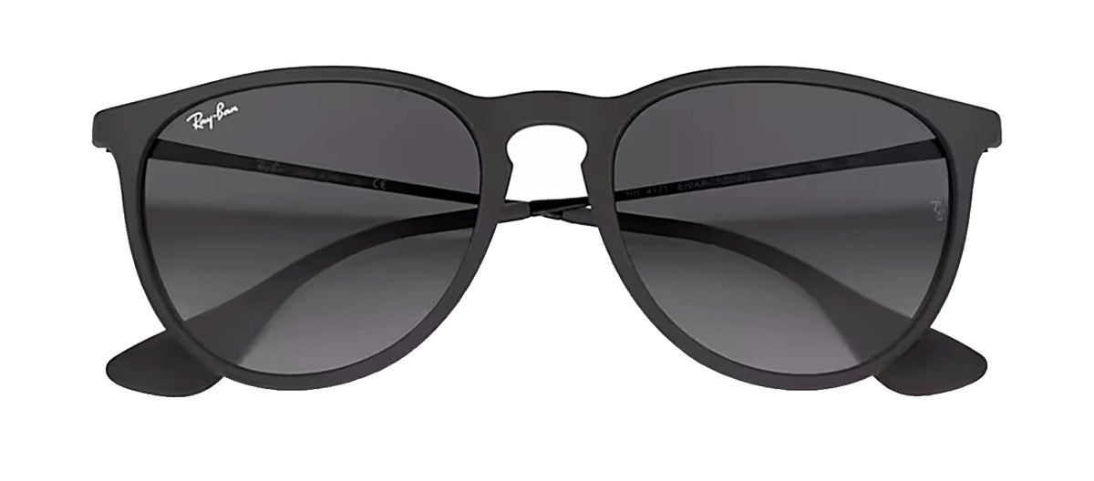 Ray-Ban RB4171 622/8G Round Sunglasses