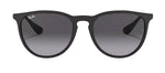 Ray-Ban RB4171 622/8G Round Sunglasses