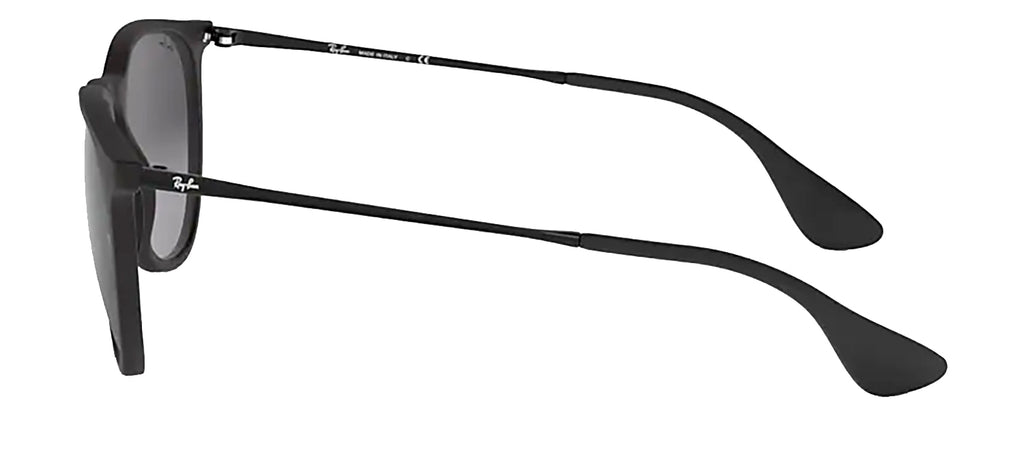 Ray-Ban RB4171 622/8G Round Sunglasses