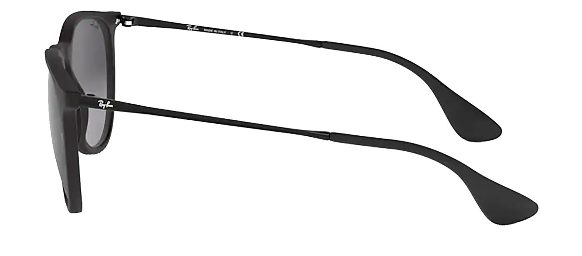 Ray-Ban RB4171 622/8G Round Sunglasses