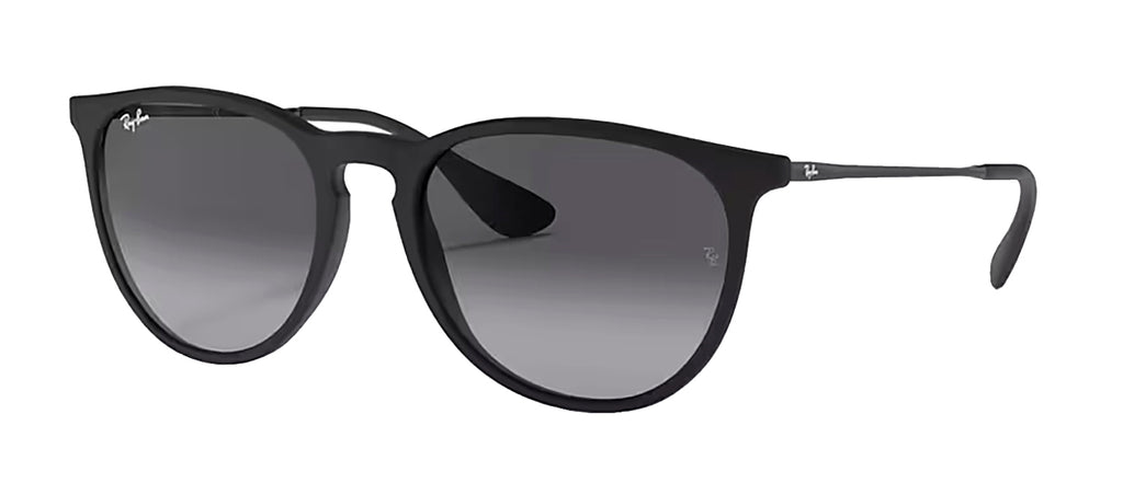 Ray-Ban RB4171 622/8G Round Sunglasses