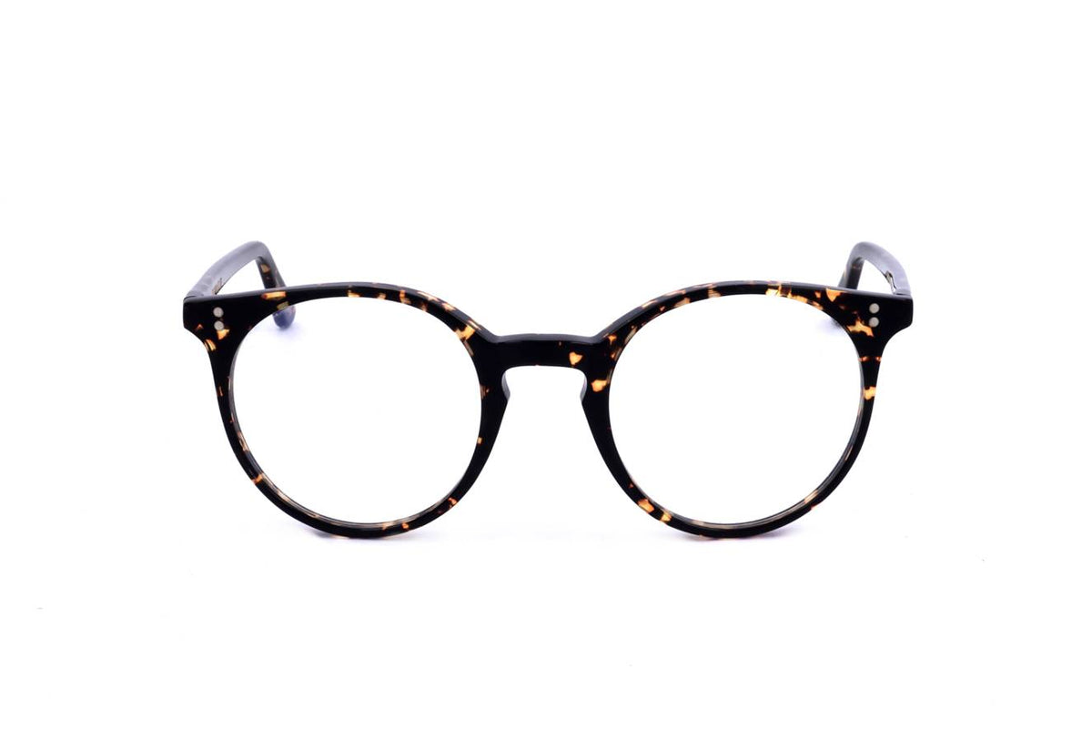 TIGRE Front