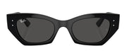 Ray-Ban RB4430 667787 Cat Eye Sunglasses