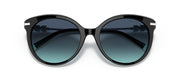 Tiffany & Co. 4189B 80019S Cat Eye Sunglasses