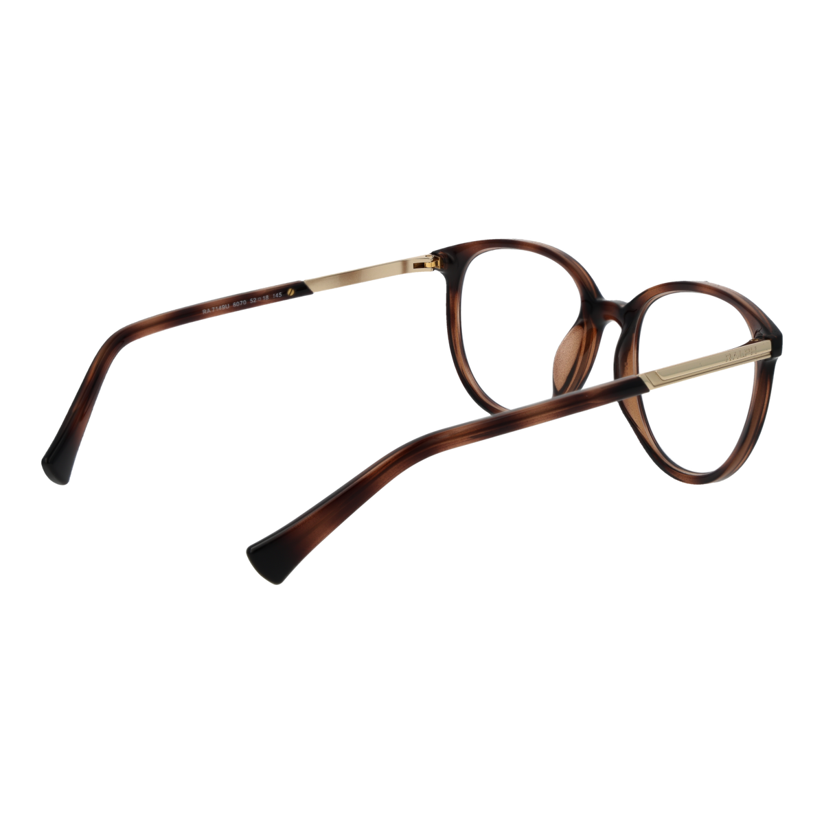 Brown/Demo glasses