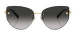 Tiffany & Co. TF3096 Butterfly Sunglasses