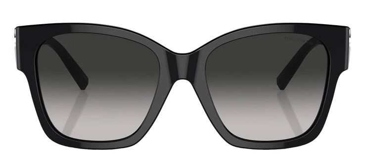 Tiffany 0TF4216 80013C Square Sunglasses