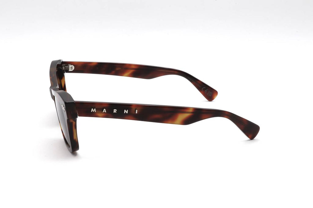 01 DEEP TORTOISE Side