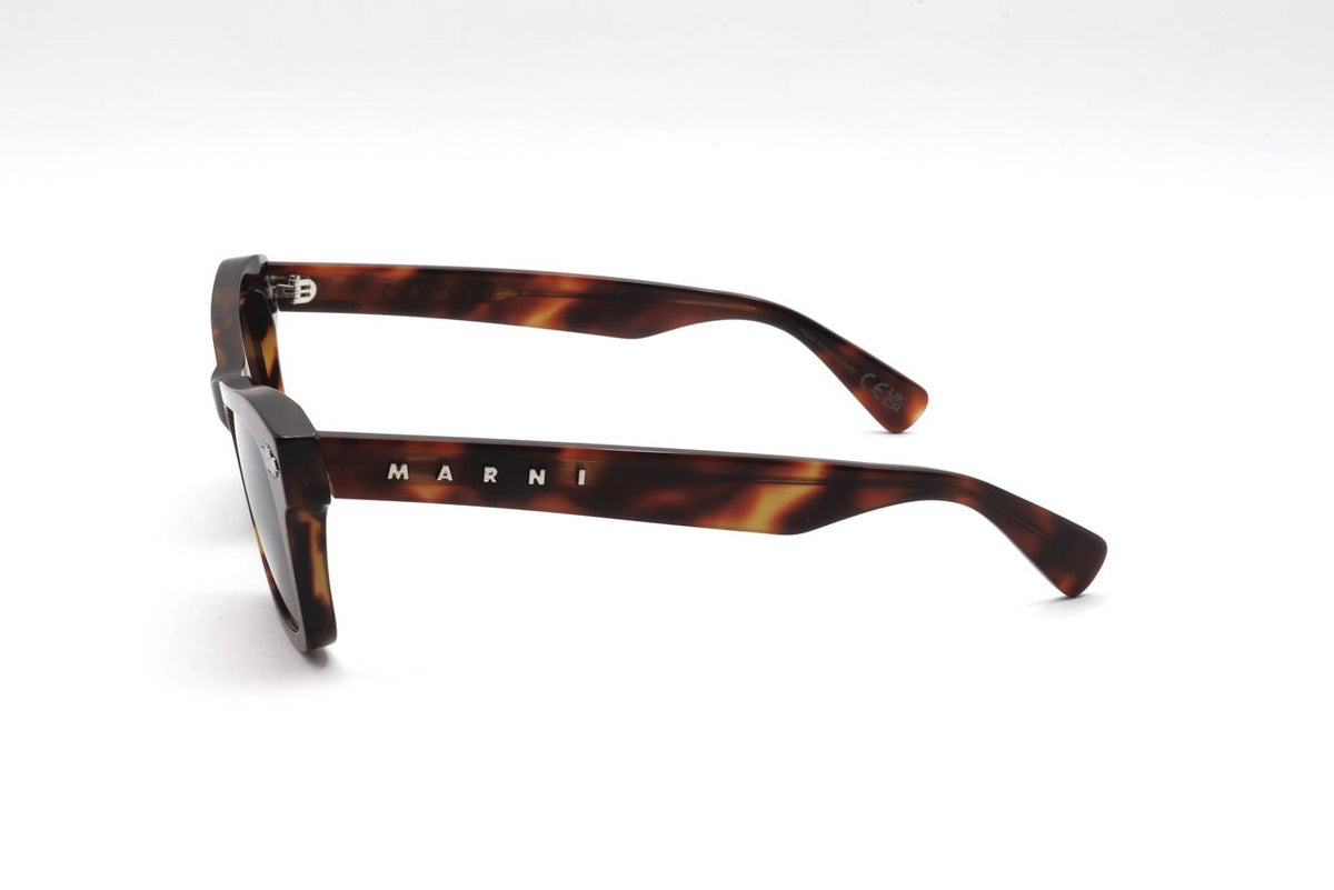 01 DEEP TORTOISE Side
