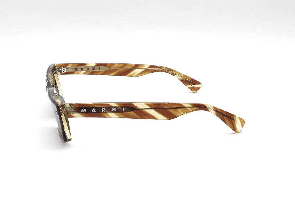 02 STRIPED TORTOISE Side