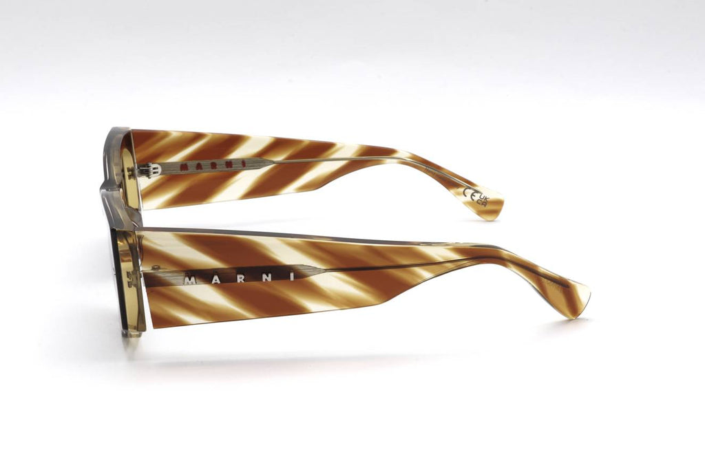 06 STRIPED TORTOISE Side