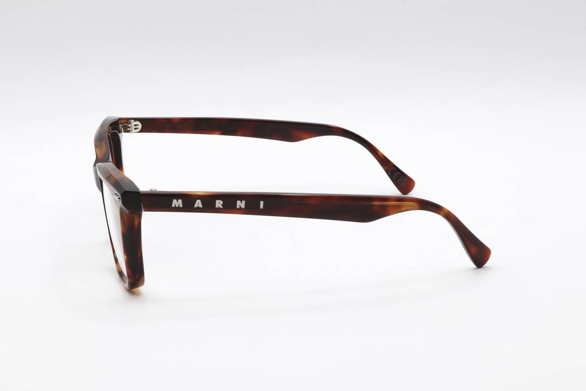 01 DEEP TORTOISE Side