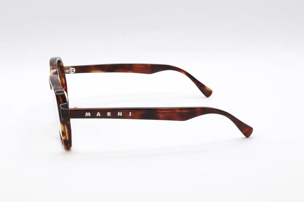 03 DEEP TORTOISE Side