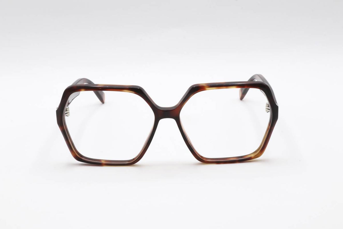 04 DEEP TORTOISE Front