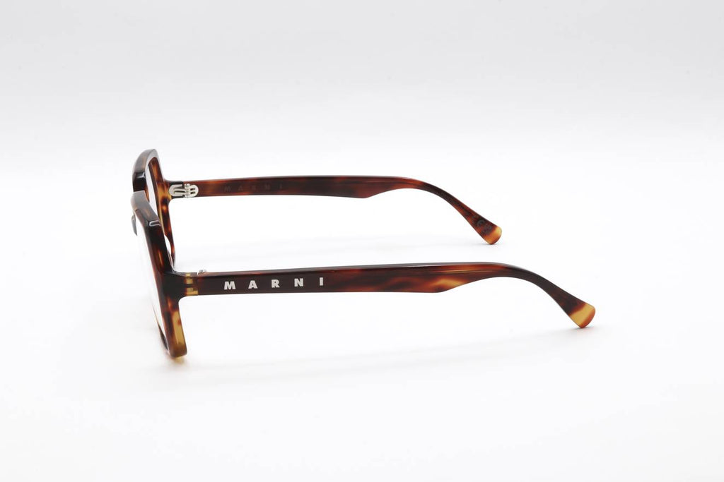 04 DEEP TORTOISE Side
