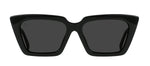 RAEN KEERA POL S756 Cat Eye Polarized Sunglasses