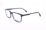 QS2006 3/4 View