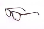 QS2007 3/4 View