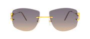 Cartier CT0008RS 001 Rectangle Sunglasses