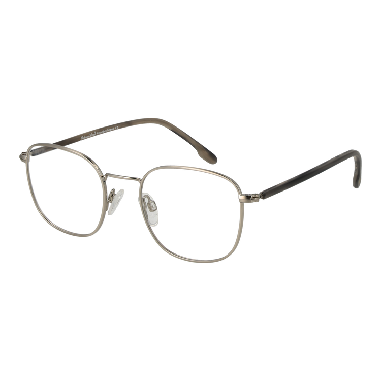 Silver/Demo glasses
