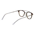 Brown/Demo glasses
