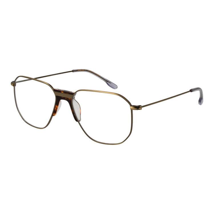 Gold/Demo glasses