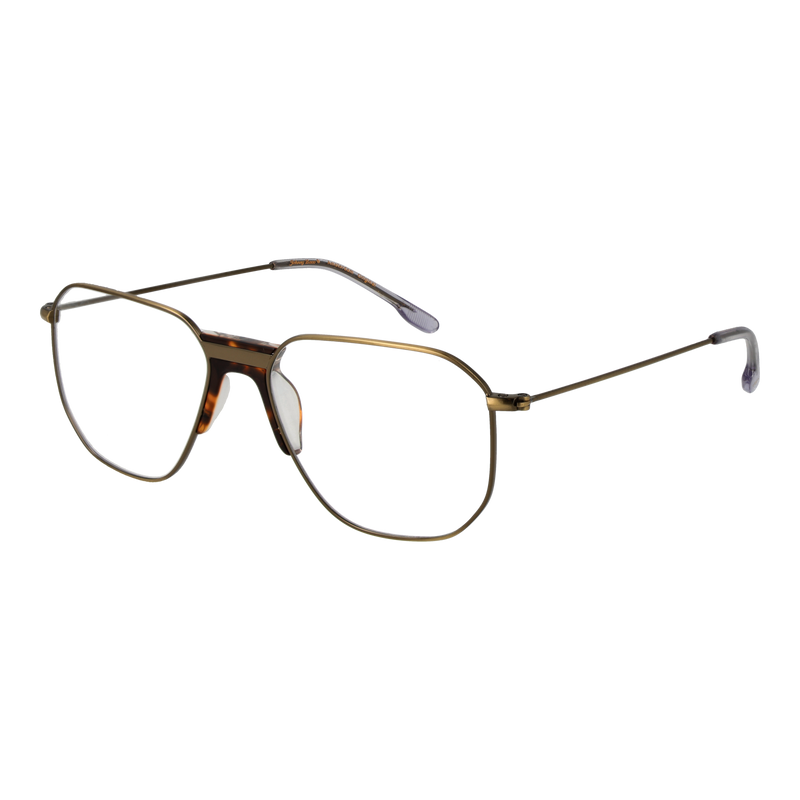 Gold/Demo glasses