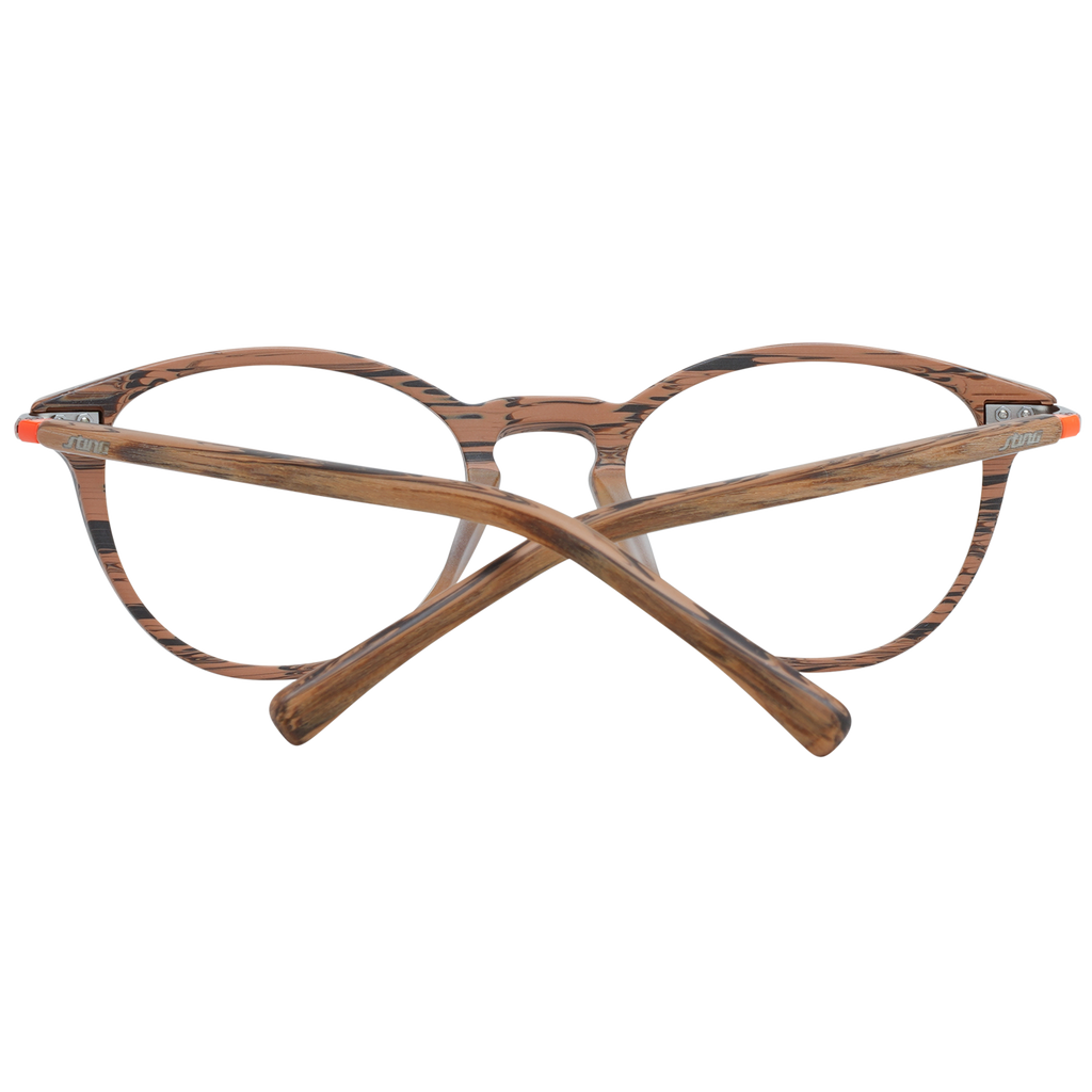 Brown/Demo glasses
