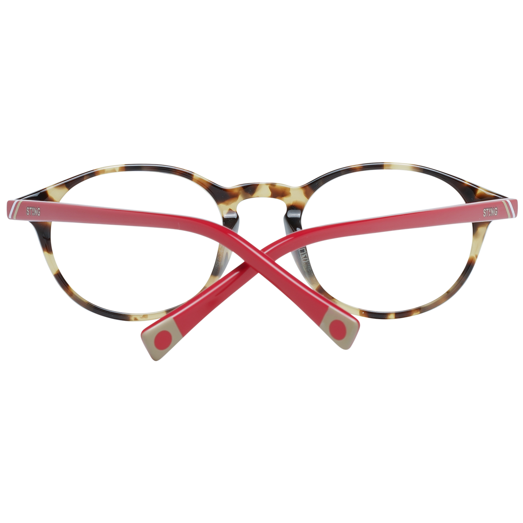 Brown/Demo glasses