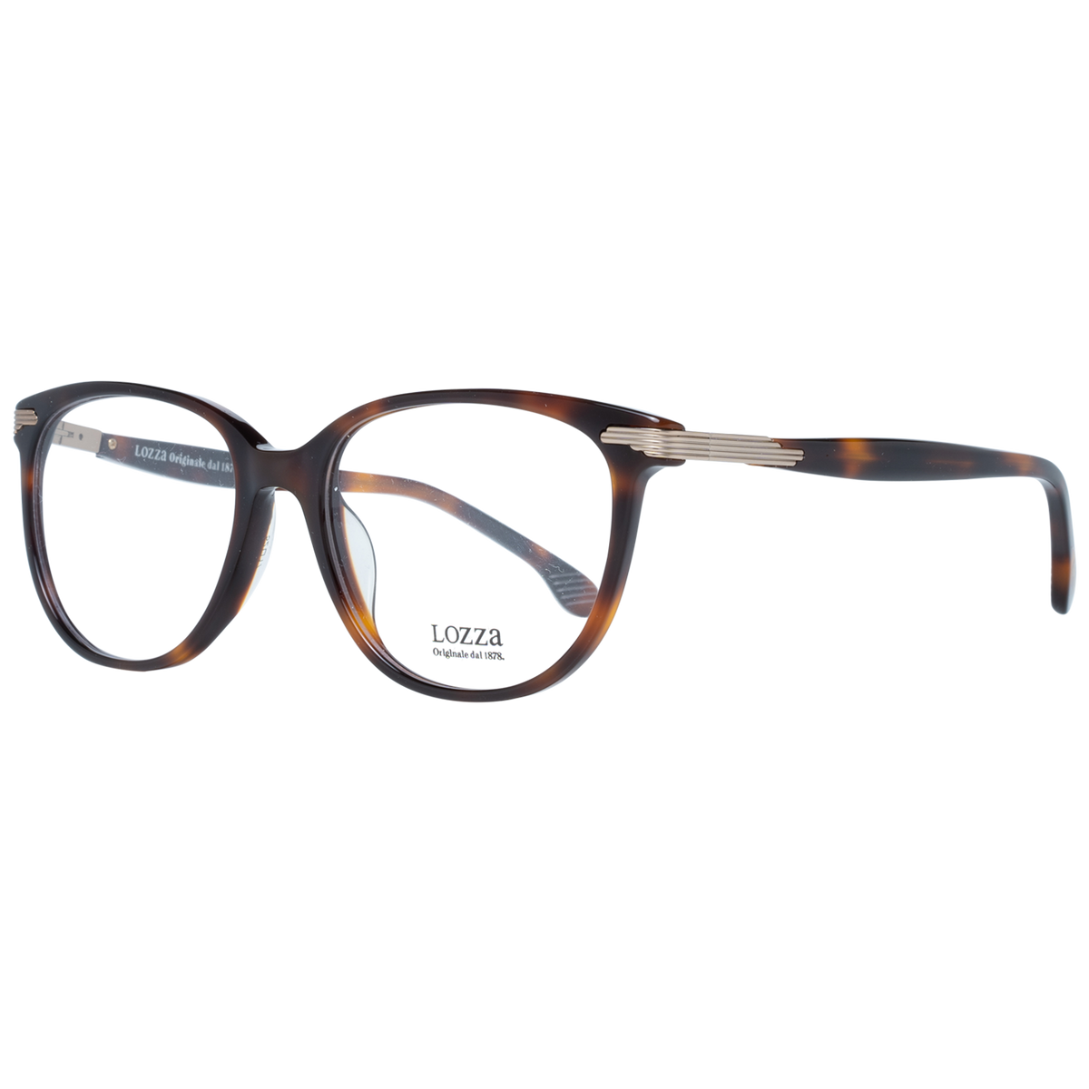 Brown/Demo glasses