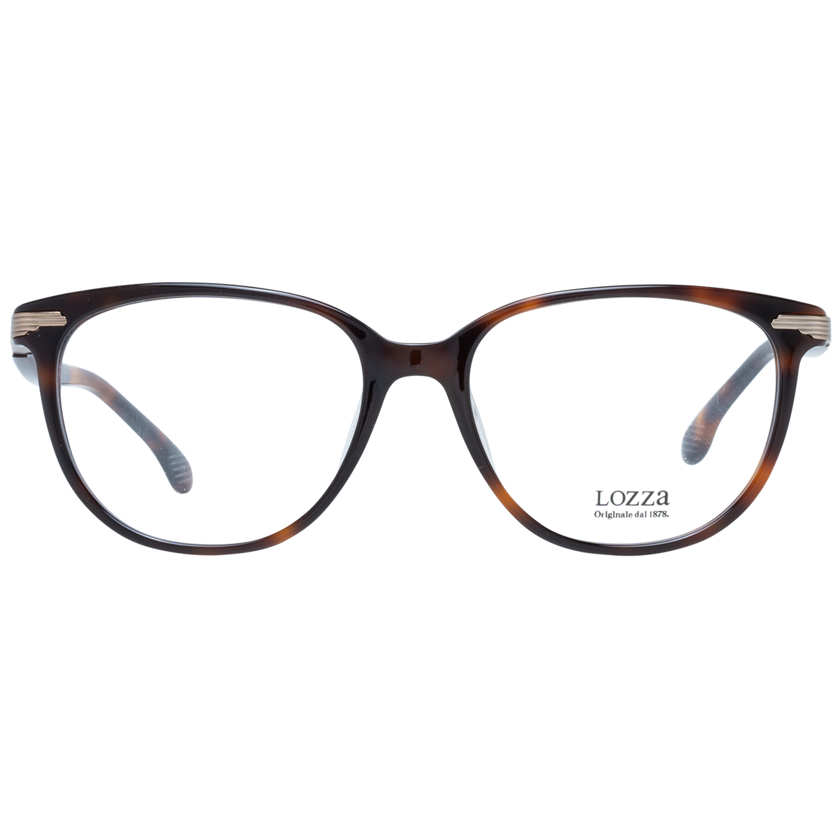 Brown/Demo glasses