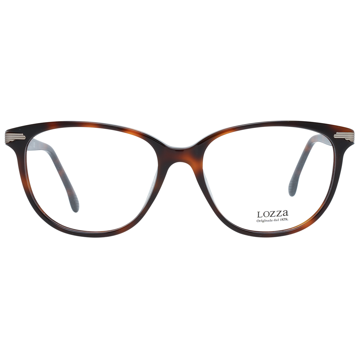 Brown/Demo glasses