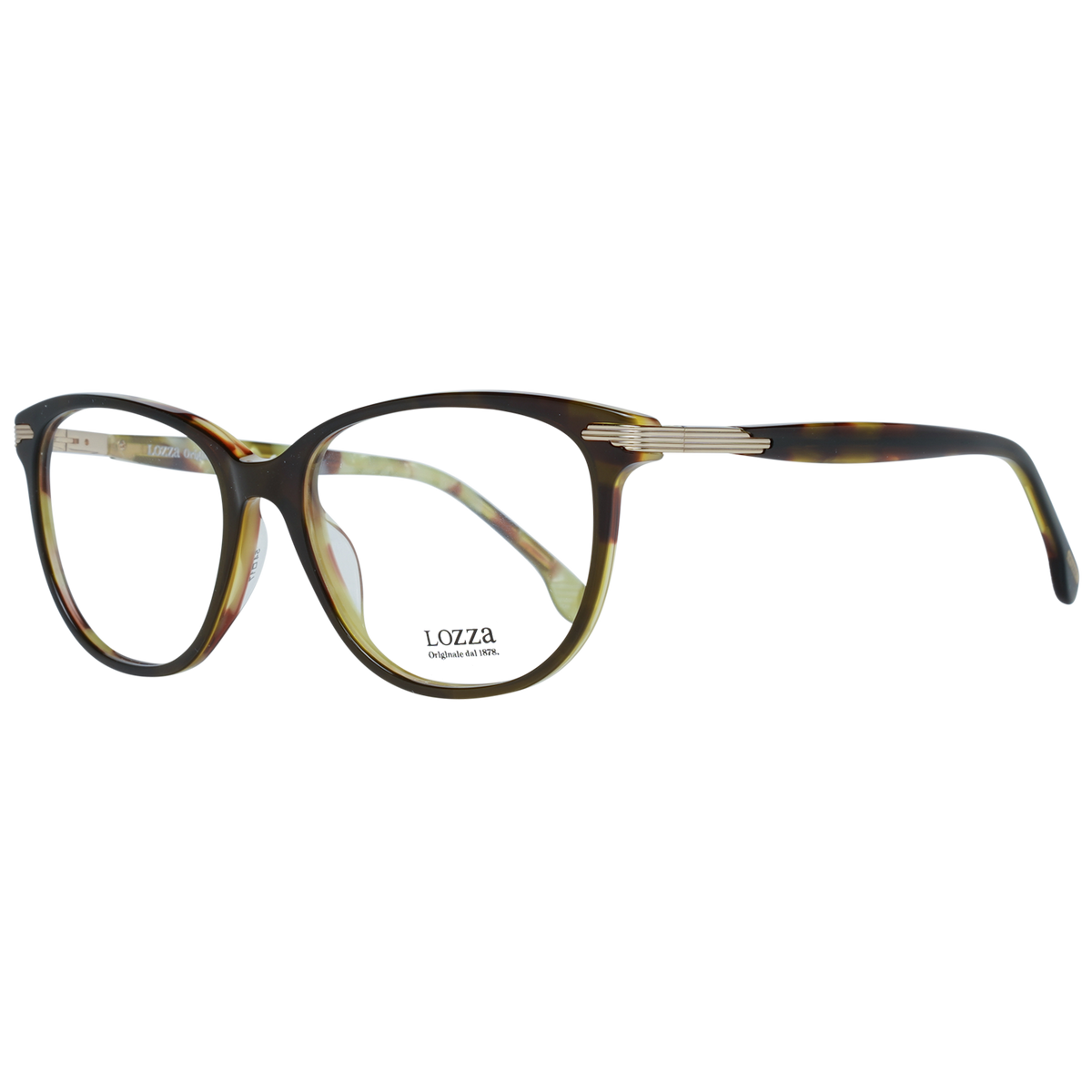 Brown/Demo glasses